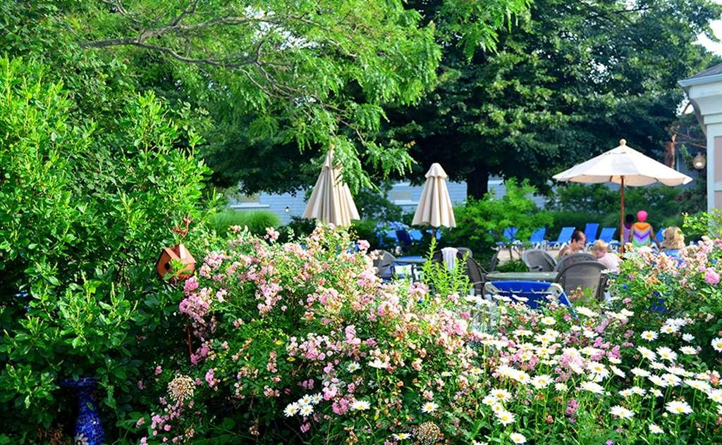 Margaritaville Resort Cape Cod Hyannis Konforlar fotoğraf
